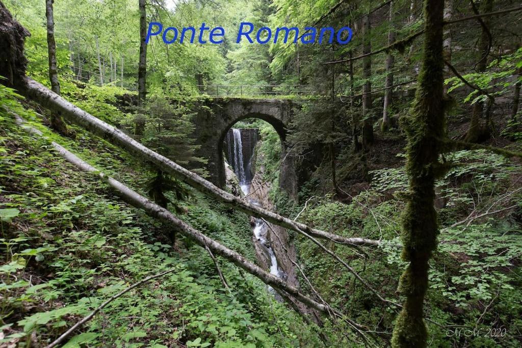Appartamento Speranza Моліна-ді-Ледро Екстер'єр фото